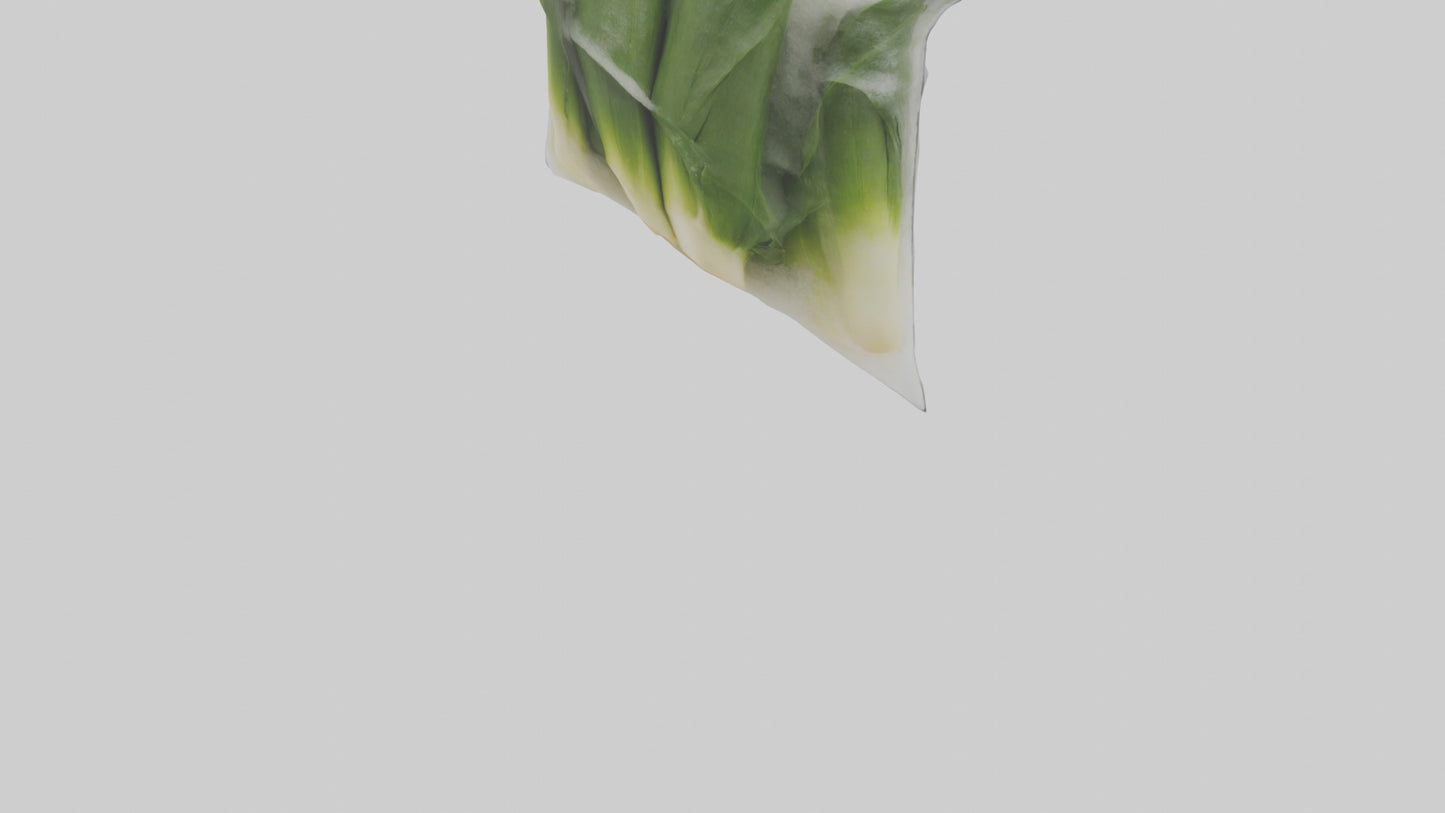Frozen Leeks Pack model 3D model