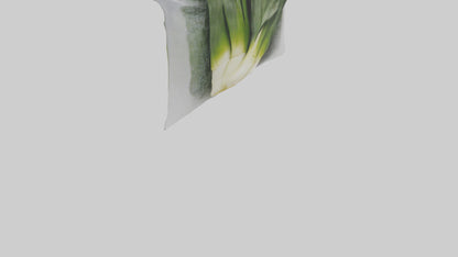 Frozen Leeks Pack model 3D model