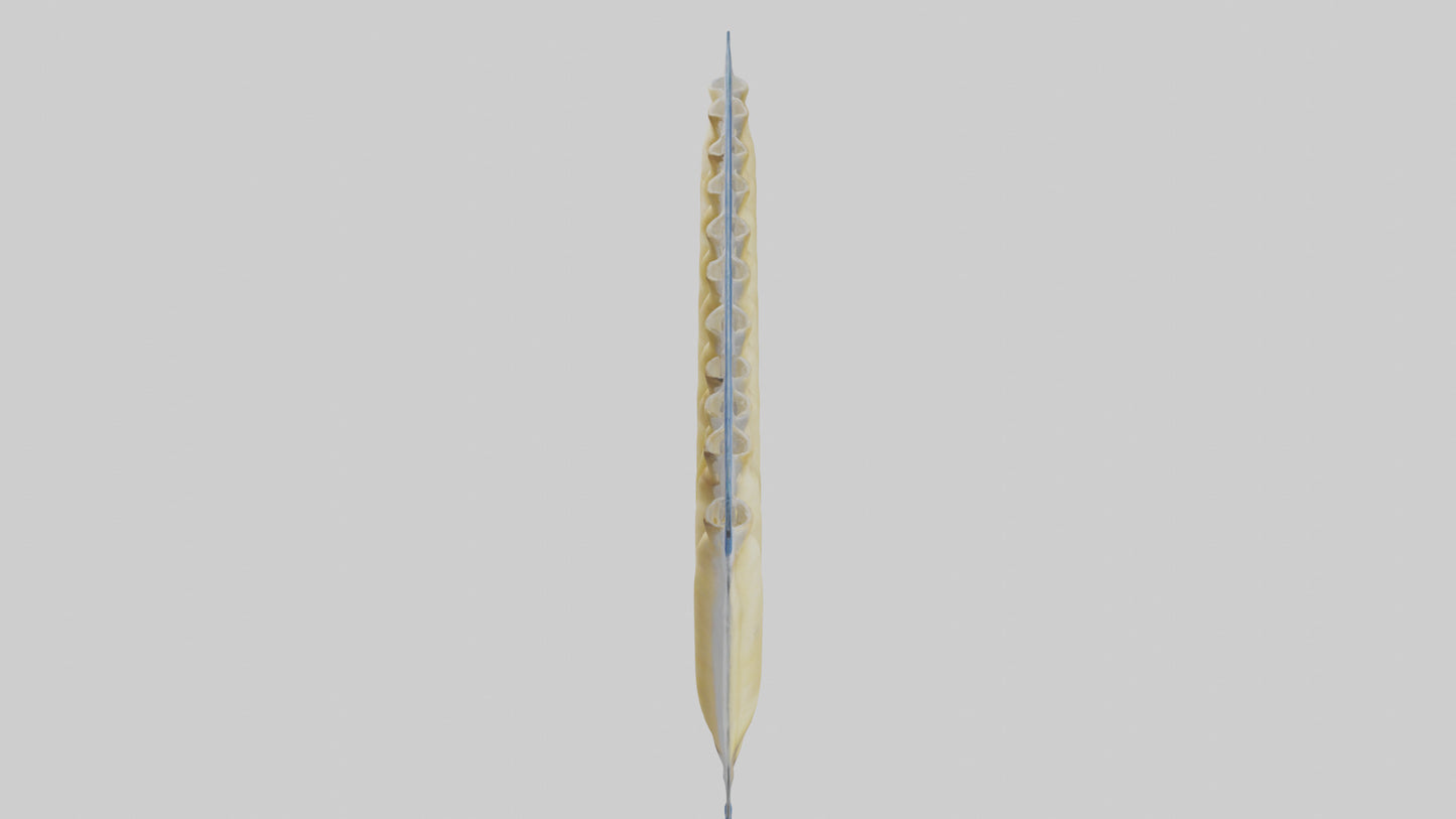 Frozen Parsnips Pack model 3D model