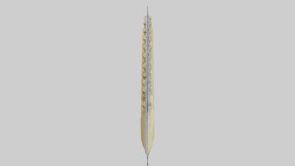 Frozen Parsnips Pack model 3D model