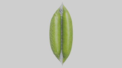 Frozen Peas Pack model VR / AR / low-poly