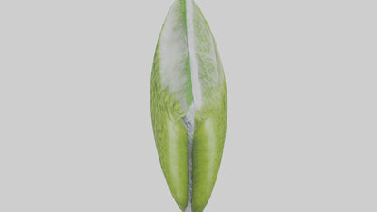 Frozen Peas Pack model VR / AR / low-poly