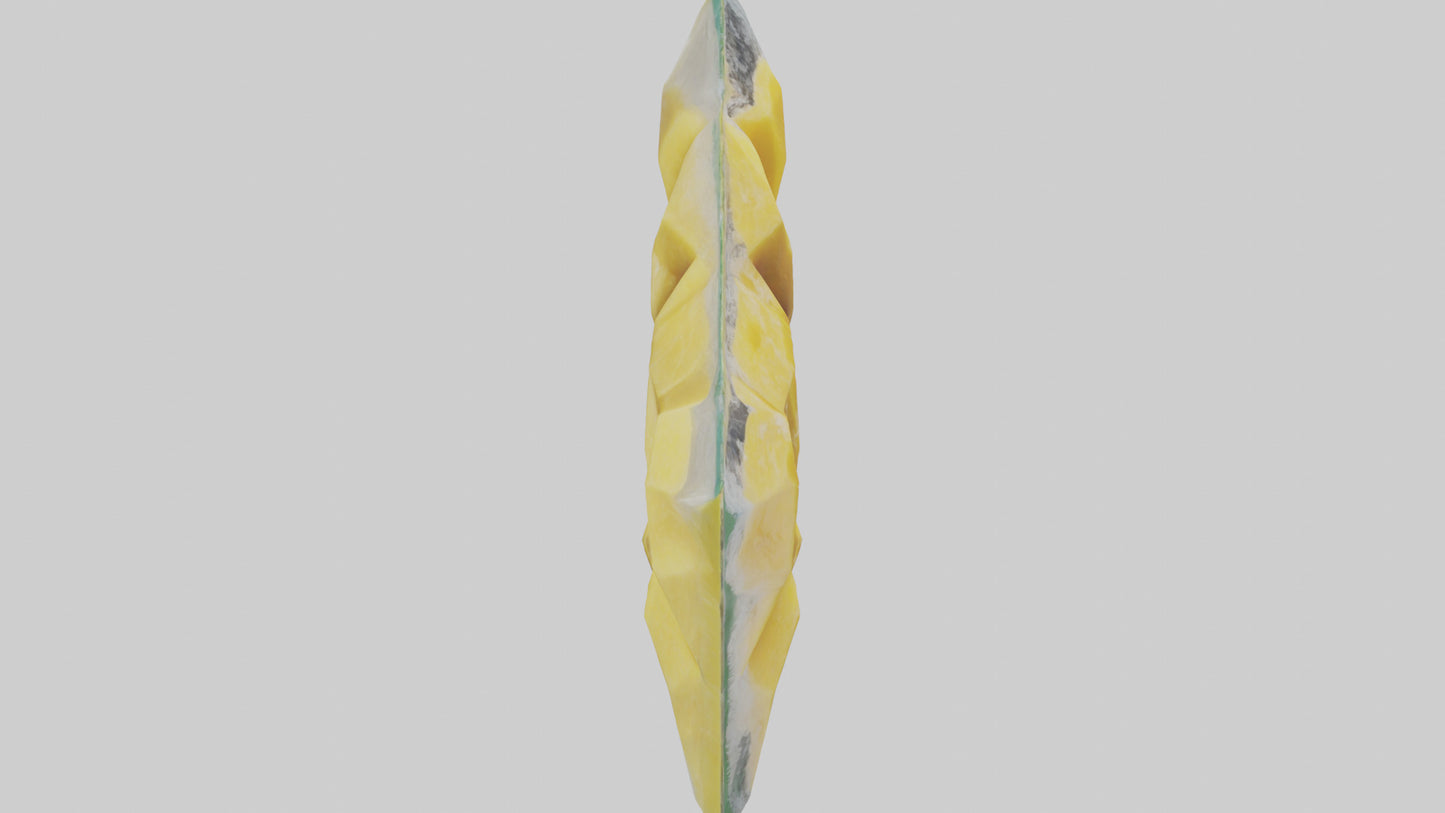 Frozen Pineapple Pack model 3D model