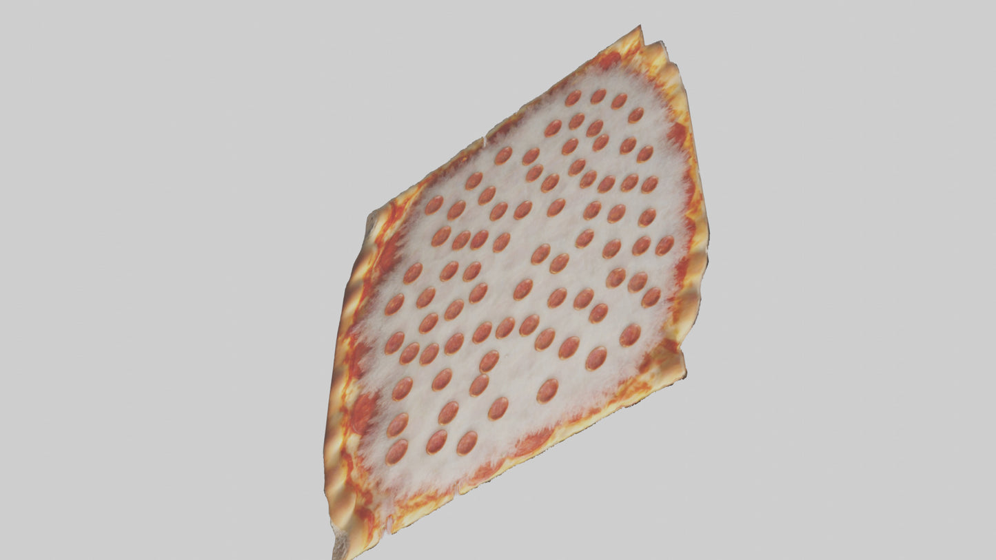Frozen Pizza Slice Pack model 3D model