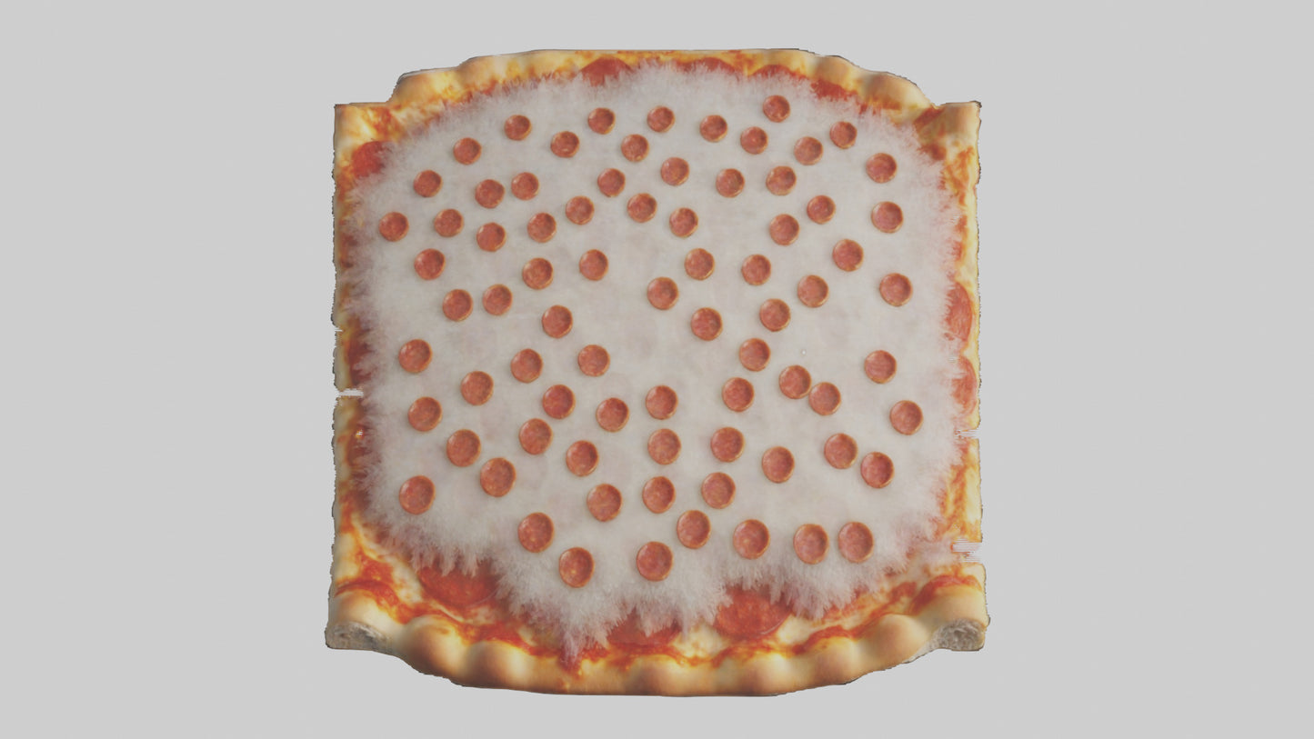 Frozen Pizza Slice Pack model 3D model