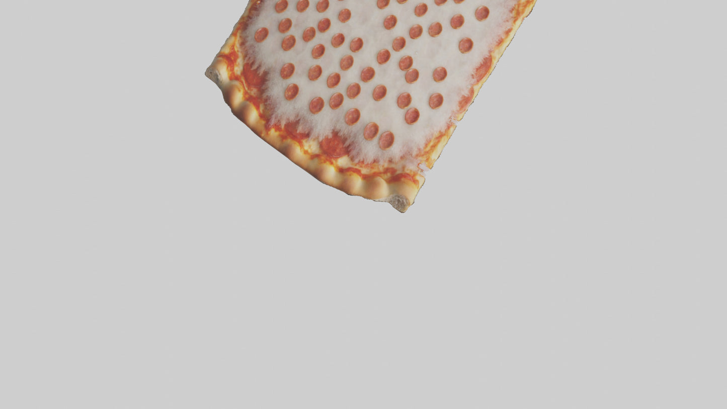 Frozen Pizza Slice Pack model 3D model