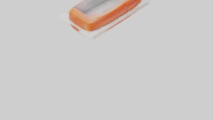 Frozen Salmon Fillet Pack model 3D model