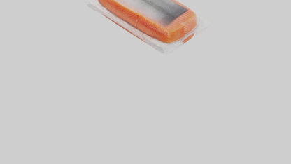 Frozen Salmon Fillet Pack model 3D model