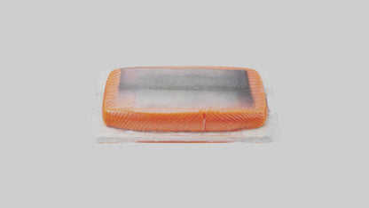 Frozen Salmon Fillet Pack model 3D model