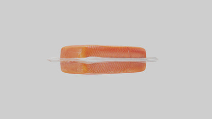 Frozen Salmon Fillet Pack model 3D model