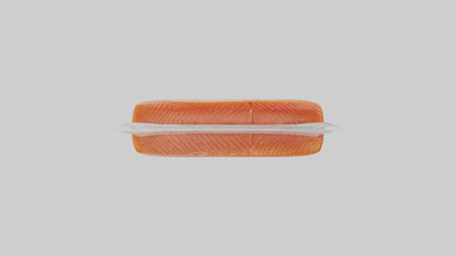 Frozen Salmon Fillet Pack model 3D model