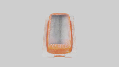 Frozen Salmon Fillet Pack model 3D model
