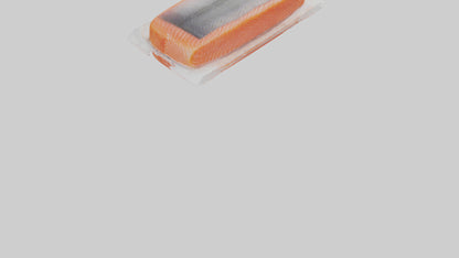 Frozen Salmon Fillet Pack model 3D model