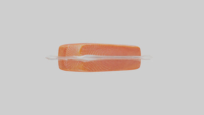 Frozen Salmon Fillet Pack model 3D model