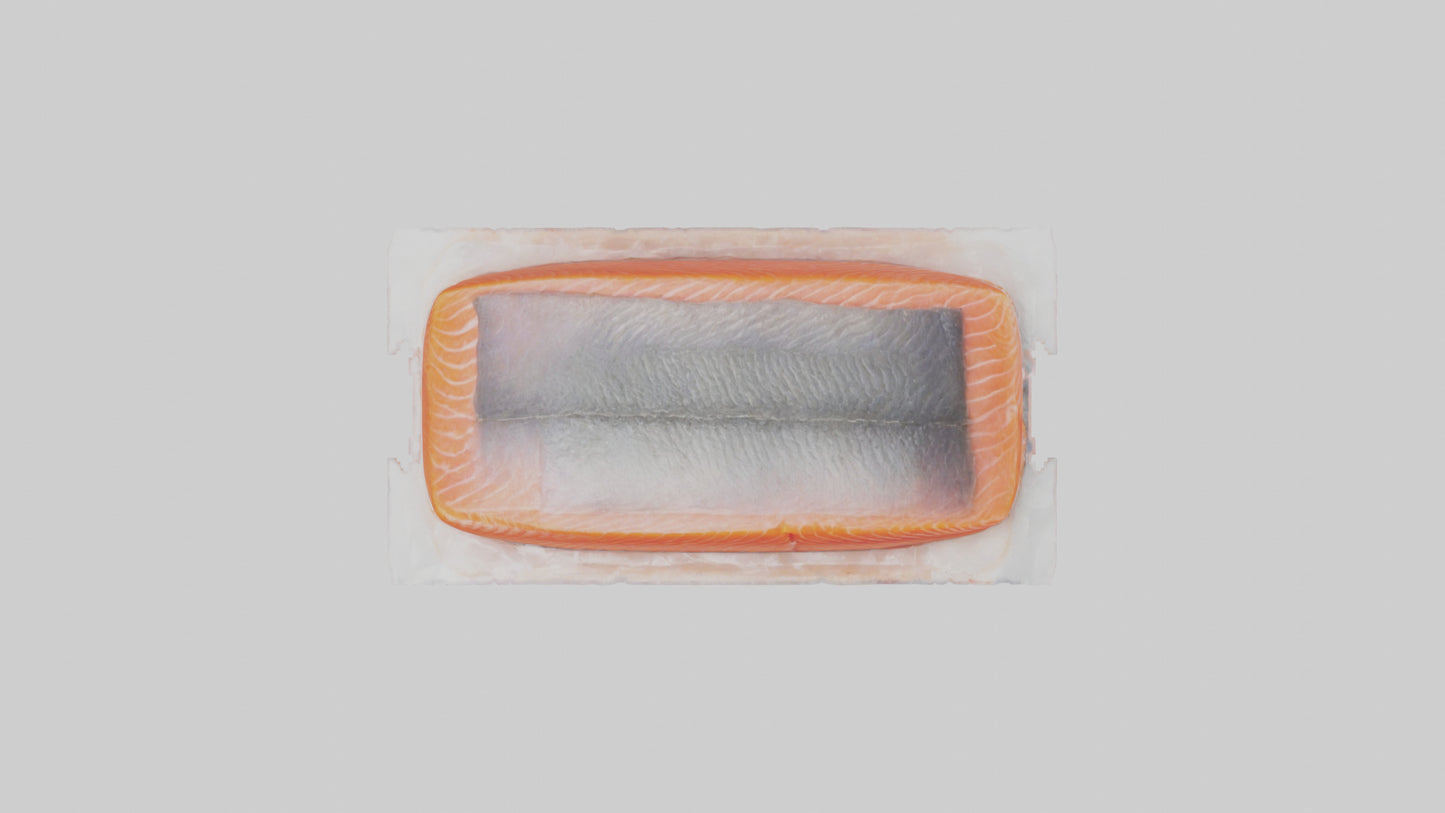 Frozen Salmon Fillet Pack model 3D model