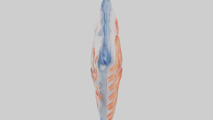 Frozen Shrimp Pack model VR / AR / low-poly