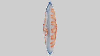 Frozen Shrimp Pack model VR / AR / low-poly
