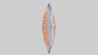 Frozen Shrimp Pack model VR / AR / low-poly
