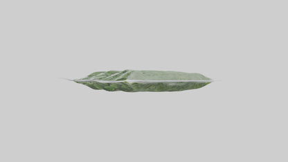 Frozen Spinach Pack Model VR / AR / low-poly