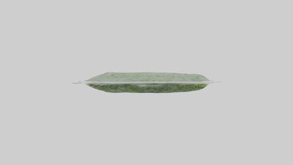 Frozen Spinach Pack Model VR / AR / low-poly