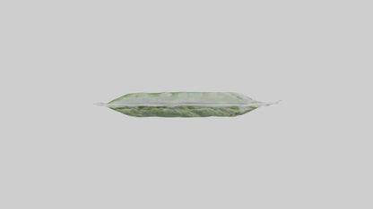 Frozen Spinach Pack Model VR / AR / low-poly