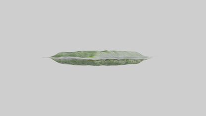 Frozen Spinach Pack Model VR / AR / low-poly