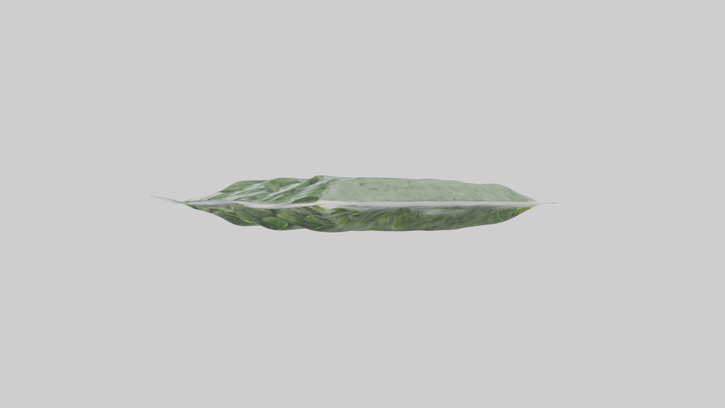 Frozen Spinach Pack Model VR / AR / low-poly