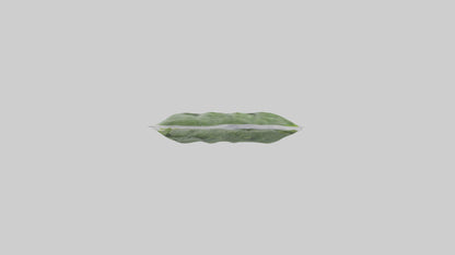 Frozen Spinach Pack Model VR / AR / low-poly