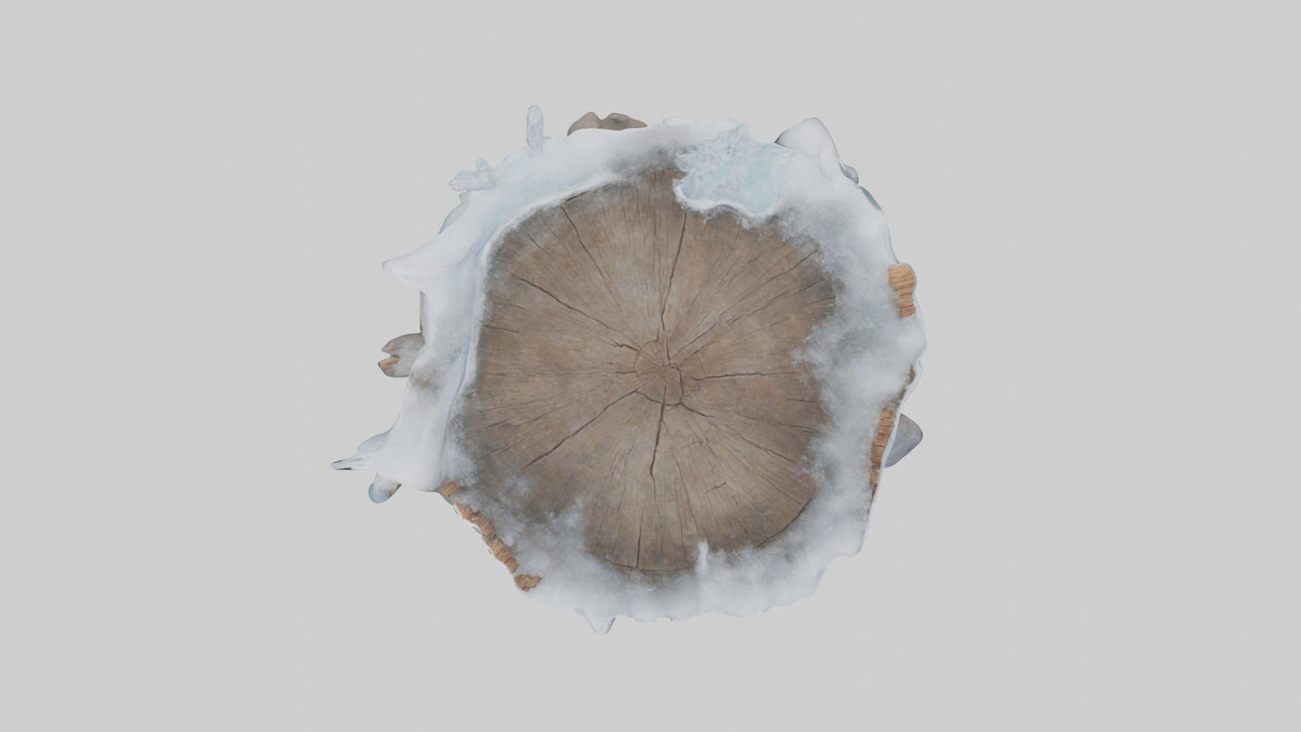 Frozen Tree Stump model VR / AR / low-poly