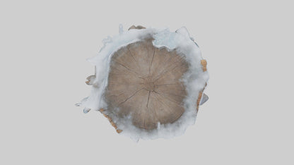 Frozen Tree Stump model VR / AR / low-poly