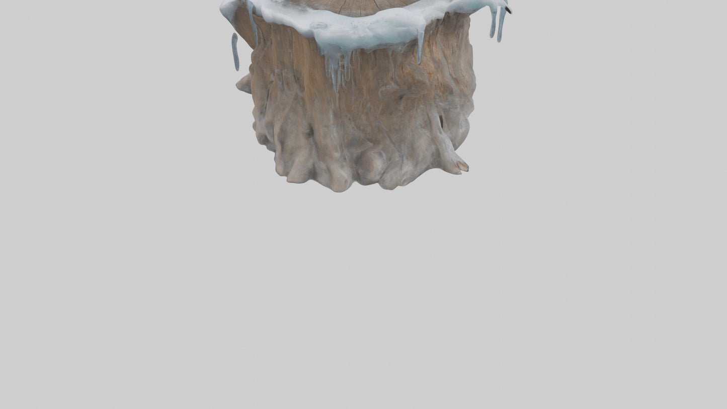 Frozen Tree Stump model VR / AR / low-poly