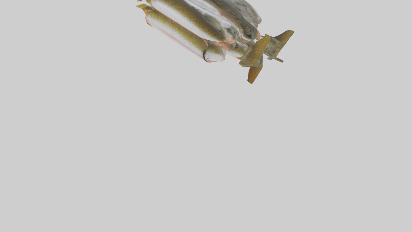Frozen Trout Pack model VR / AR / low-poly