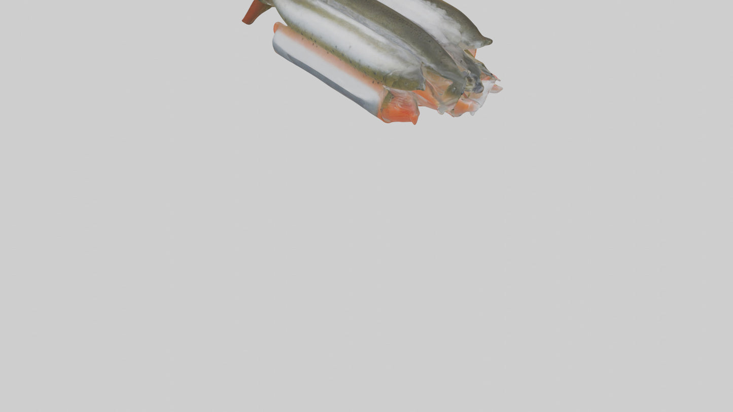 Frozen Trout Pack model VR / AR / low-poly