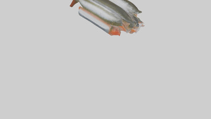 Frozen Trout Pack model VR / AR / low-poly