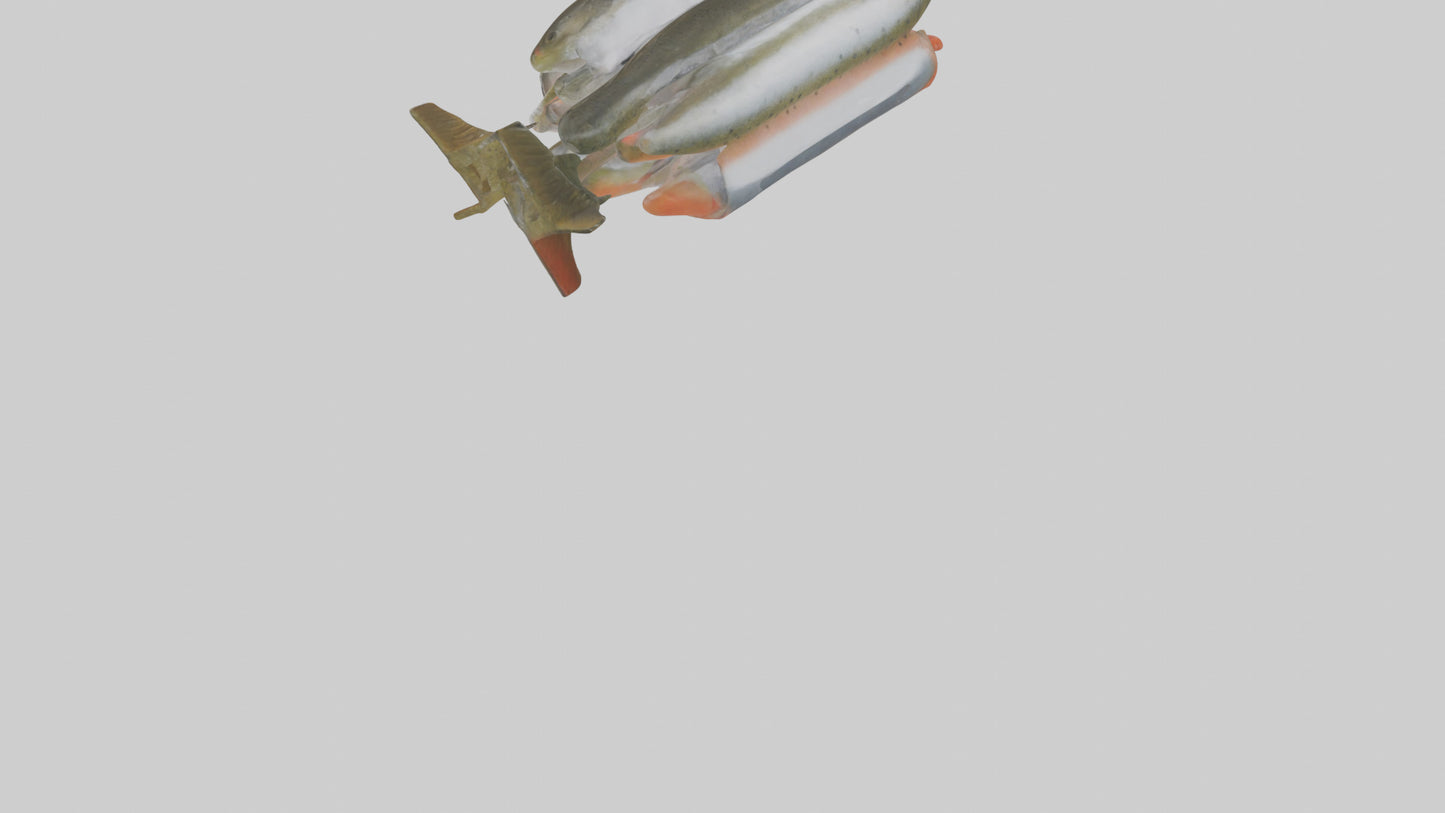 Frozen Trout Pack model VR / AR / low-poly