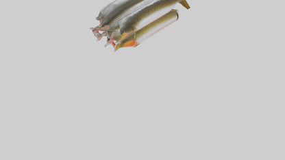 Frozen Trout Pack model VR / AR / low-poly