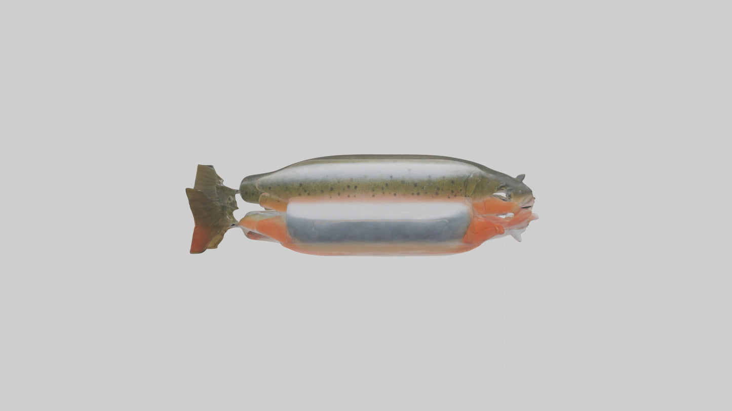 Frozen Trout Pack model VR / AR / low-poly