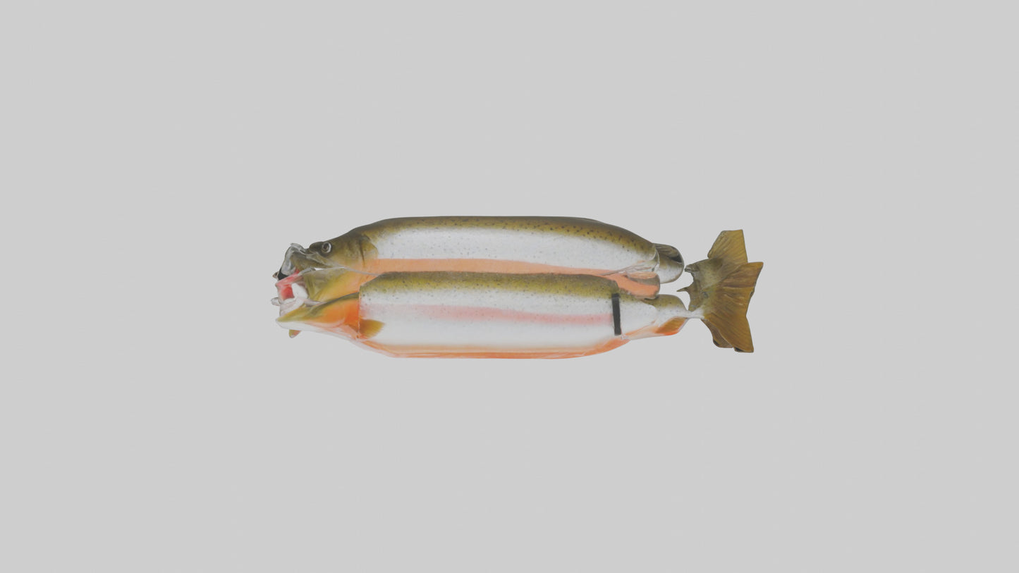 Frozen Trout Pack model VR / AR / low-poly
