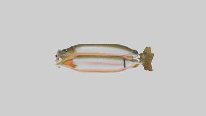 Frozen Trout Pack model VR / AR / low-poly