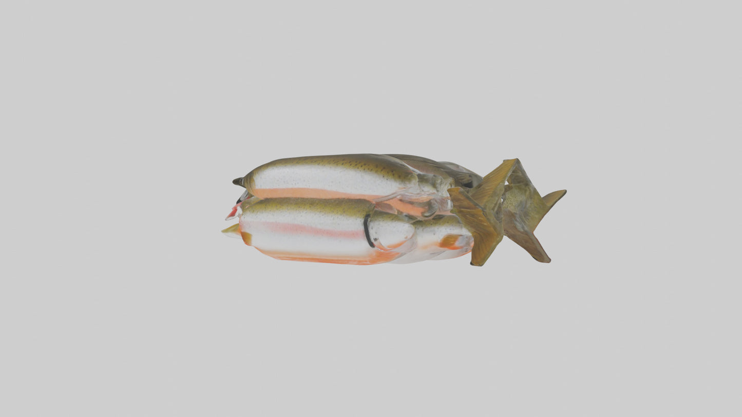 Frozen Trout Pack model VR / AR / low-poly