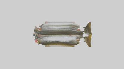 Frozen Trout Pack model VR / AR / low-poly
