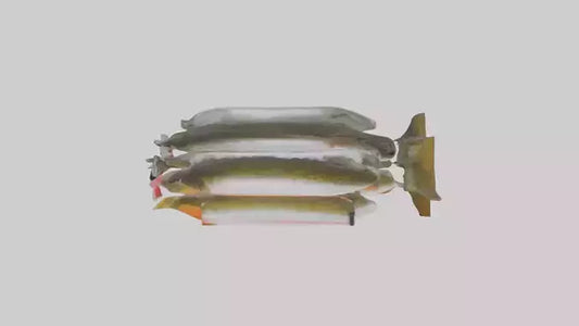 Frozen Trout Pack model VR / AR / low-poly