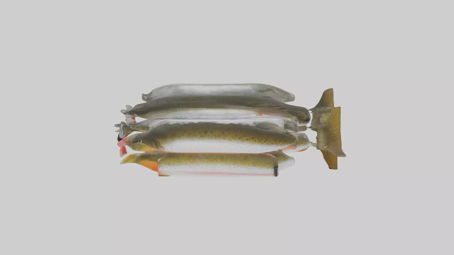 Frozen Trout Pack model VR / AR / low-poly