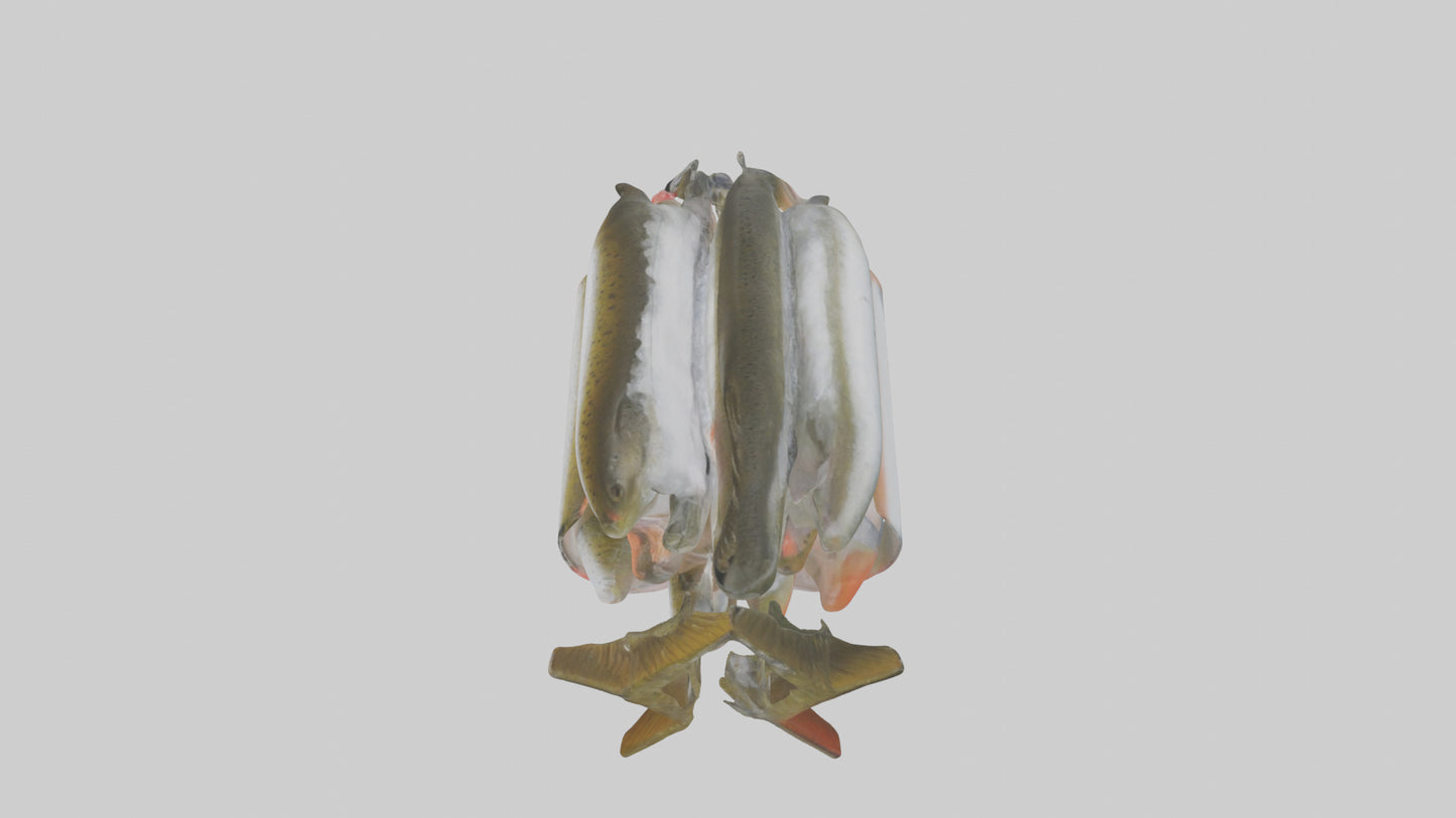 Frozen Trout Pack model VR / AR / low-poly