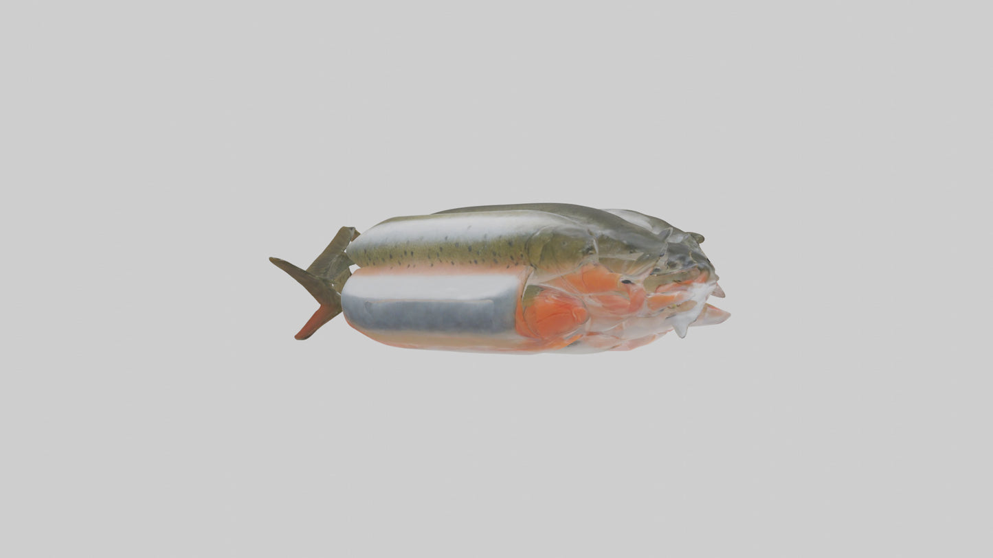 Frozen Trout Pack model VR / AR / low-poly