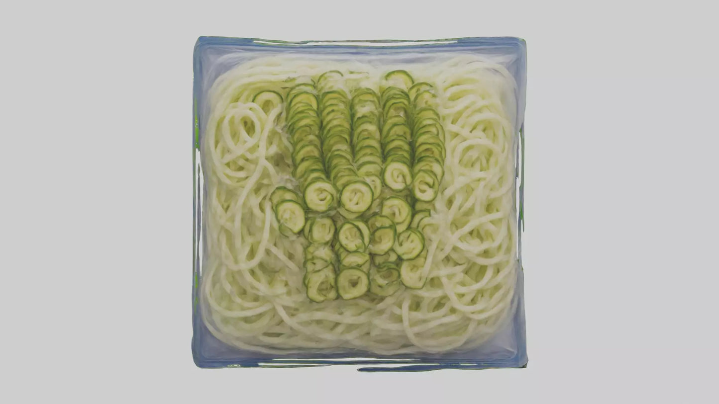 Frozen Zucchini Noodles Pack model 3D model