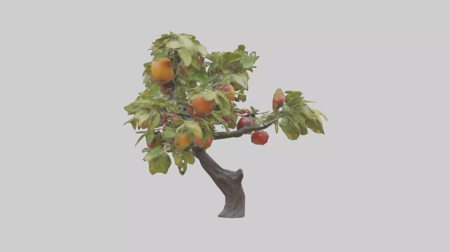 Fruit Bearing Branch Statue model 3D model