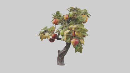 Fruit Bearing Branch Statue model 3D model
