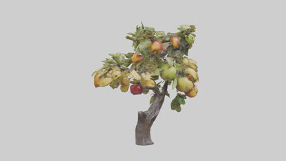 Fruit Bearing Branch Statue model 3D model