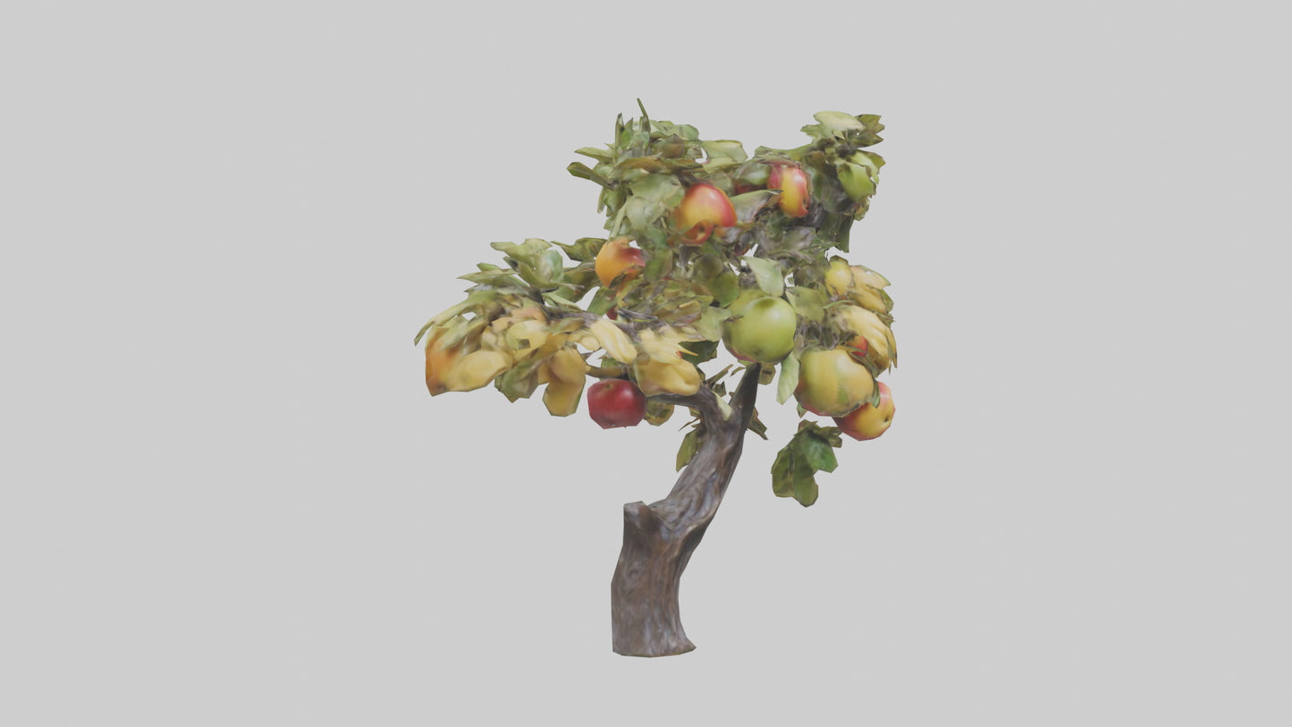 Fruit Bearing Branch Statue model 3D model